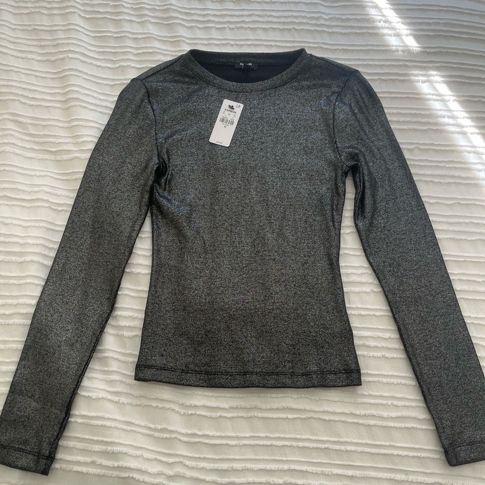 Express Long Sleeve Shimmer Top